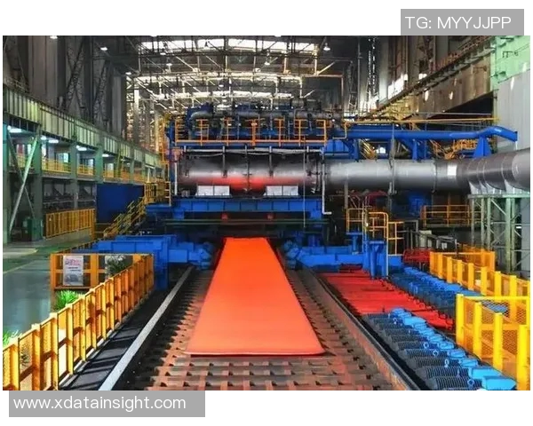 聚焦南京排球队近期状态分析与未来发展展望